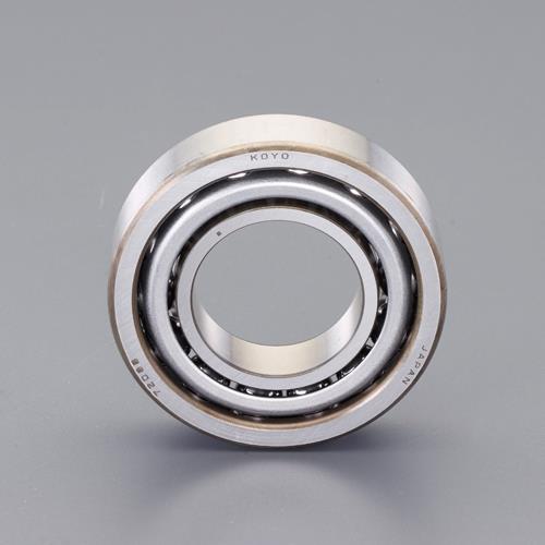 ESCO（エスコ） [7202B]アンギュラ玉軸受 EA966FB-202