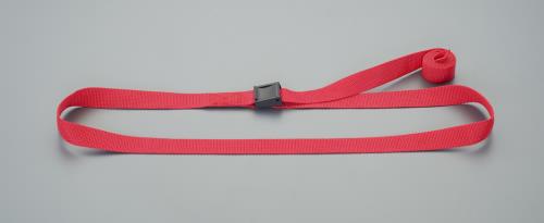 ESCO(エスコ) 25mmx2.0m 荷締ストラップ(赤) EA982BA-122
