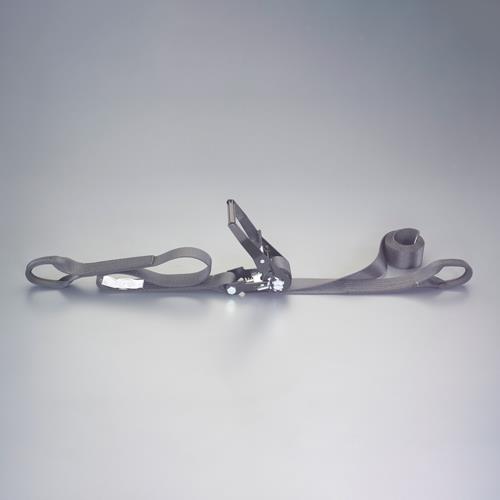ESCO(エスコ) 50mmx 7.0m/1010kg ベルト荷締機(両端アイ型) EA982SH-37