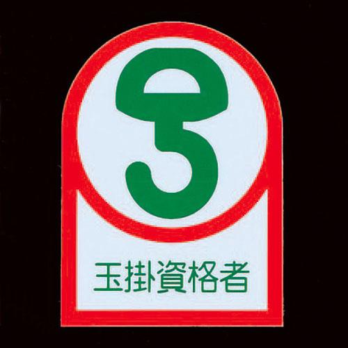 ESCO（エスコ） 35x25mm ﾍﾙﾒｯﾄｽﾃｯｶｰ(玉掛資格者/2枚) EA983AN-25A