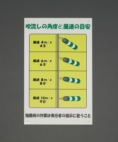 ESCO（エスコ） 300x500mm 吹流し標識 EA983BD-62