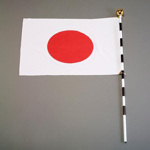 ESCO（エスコ） 700x 900mm 国旗セット(組立式) EA983JP-60