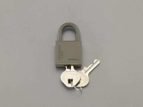 ESCO（エスコ） 30mm シリンダー南京錠(OD色) EA983SG-230