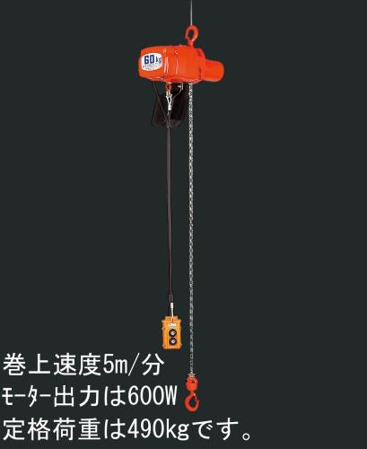 ESCO（エスコ） AC100V/490kgx 5m 電動チェーンブロック EA987DA-9